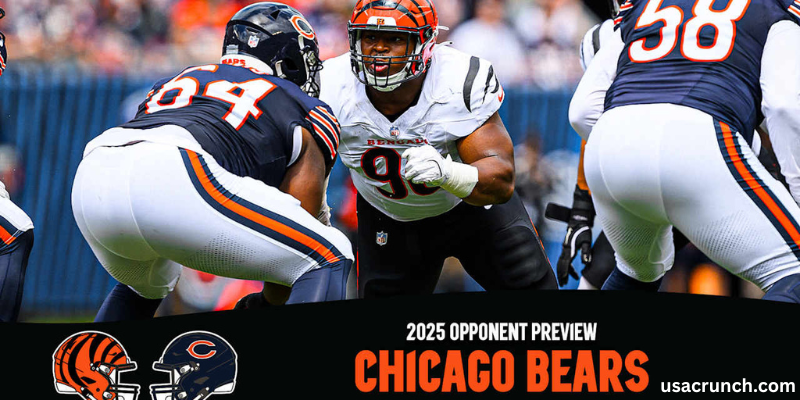 Bengals VS Chicago Bears Match Player Stats